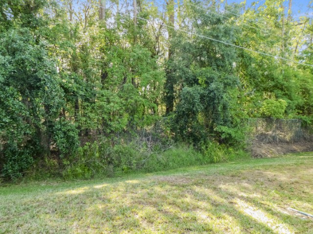 1425 Ritter Road Lot 20, Lakeland, FL 33810 (53)