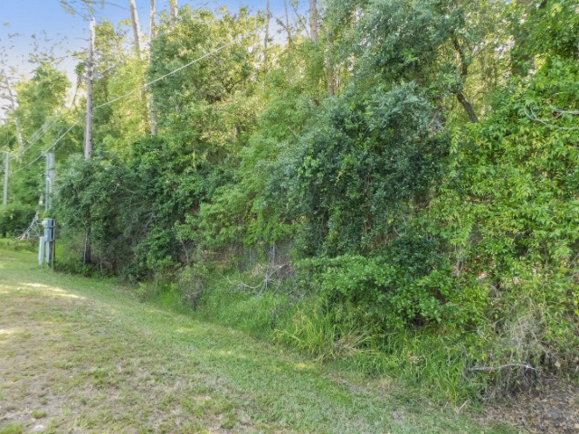 1425 Ritter Road Lot 20, Lakeland, FL 33810 (57)