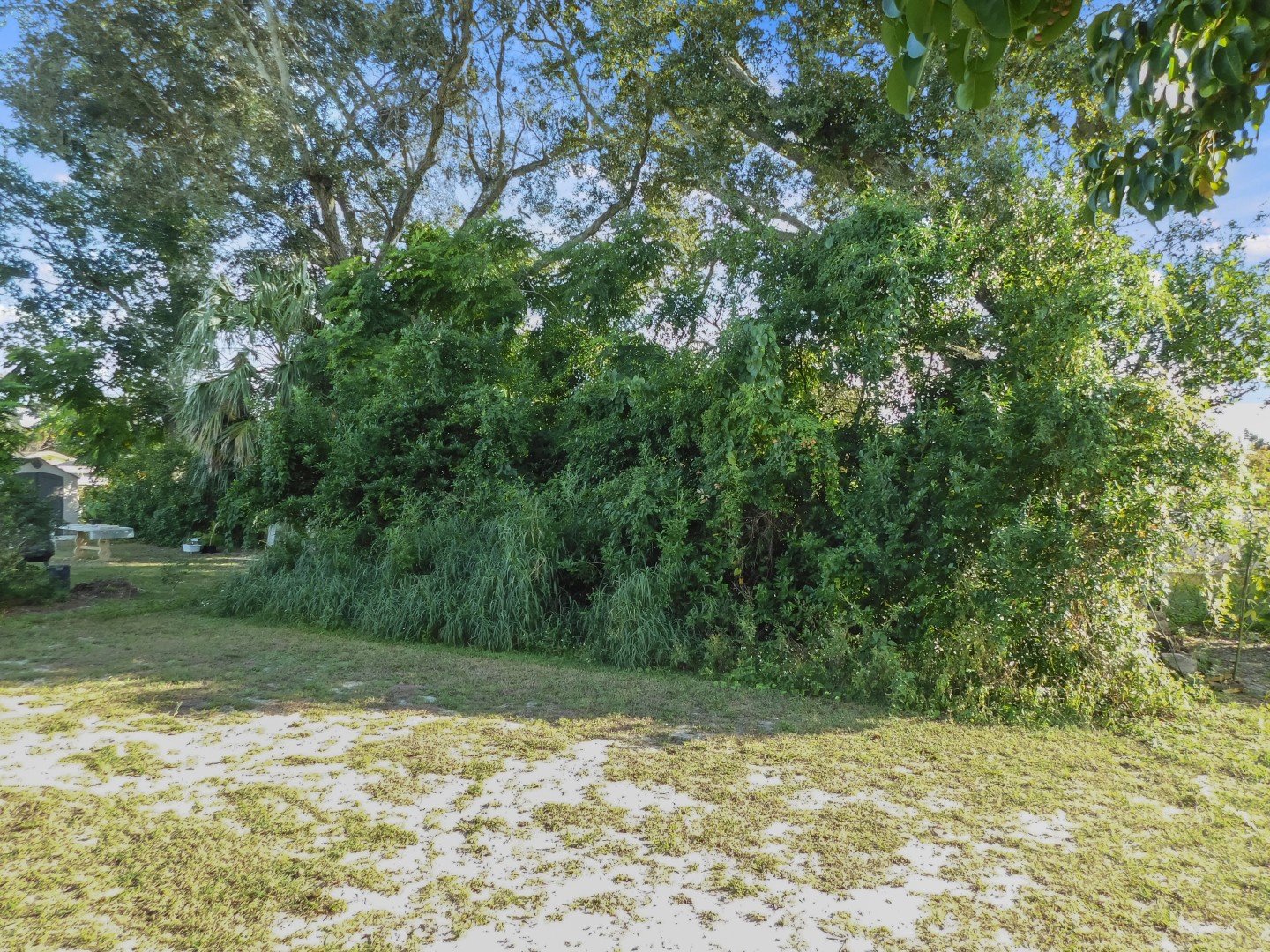 191 Fountain Way, Winter Haven, Florida 33881 (51)