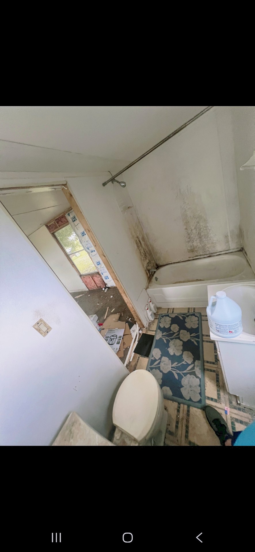 1989 14×66 in Wauchula (11)