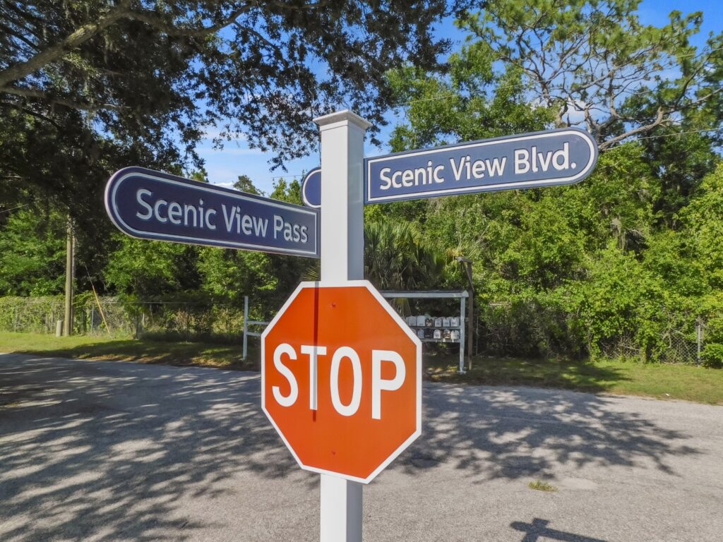 2012 Scenic View Pass, Lakeland, Florida 33810 (50)