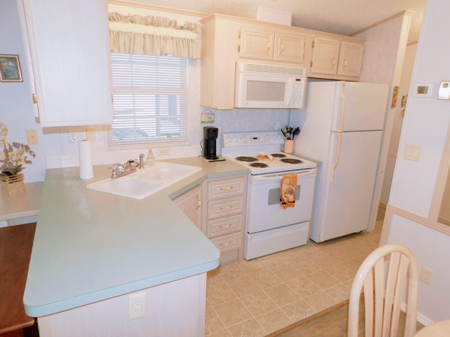 21632 State Road 54 Lot 251, Lutz, FL 33549 (7)