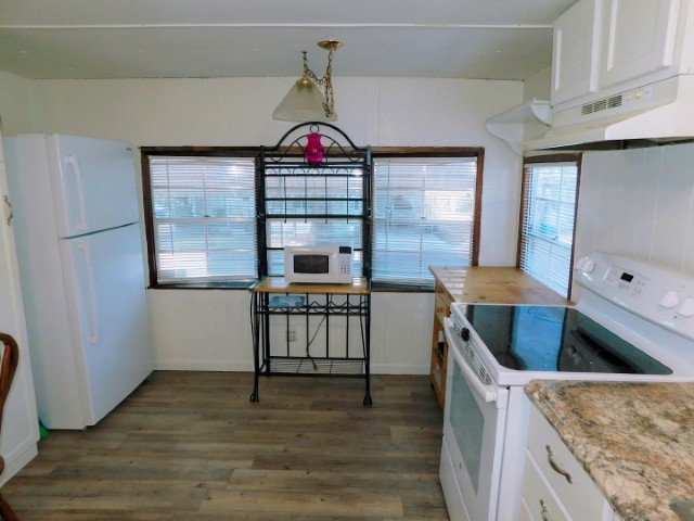 37814 Poncan Circle, Zephyrhills, FL 33541 (7)