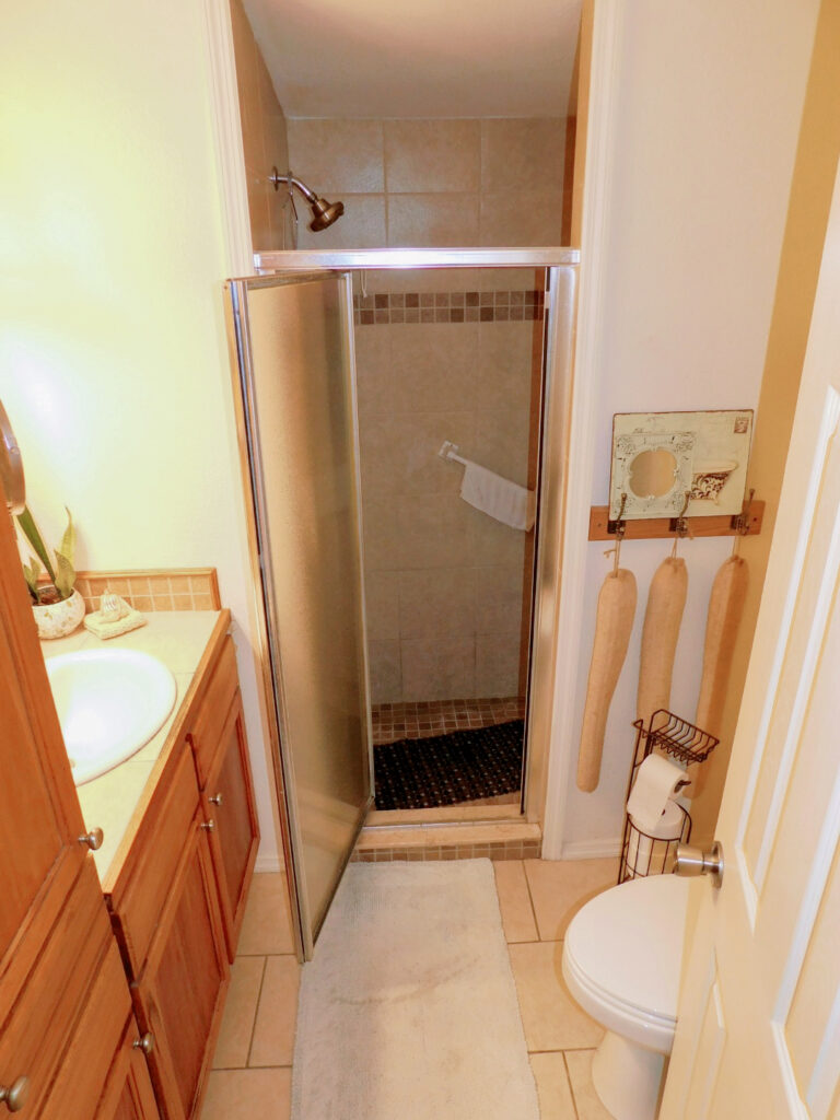 3823 Oakcrest Lane, Zephyrhills, FL 33541 (28)