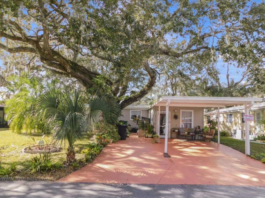3823 Oakcrest Lane, Zephyrhills, FL 33541 (3)