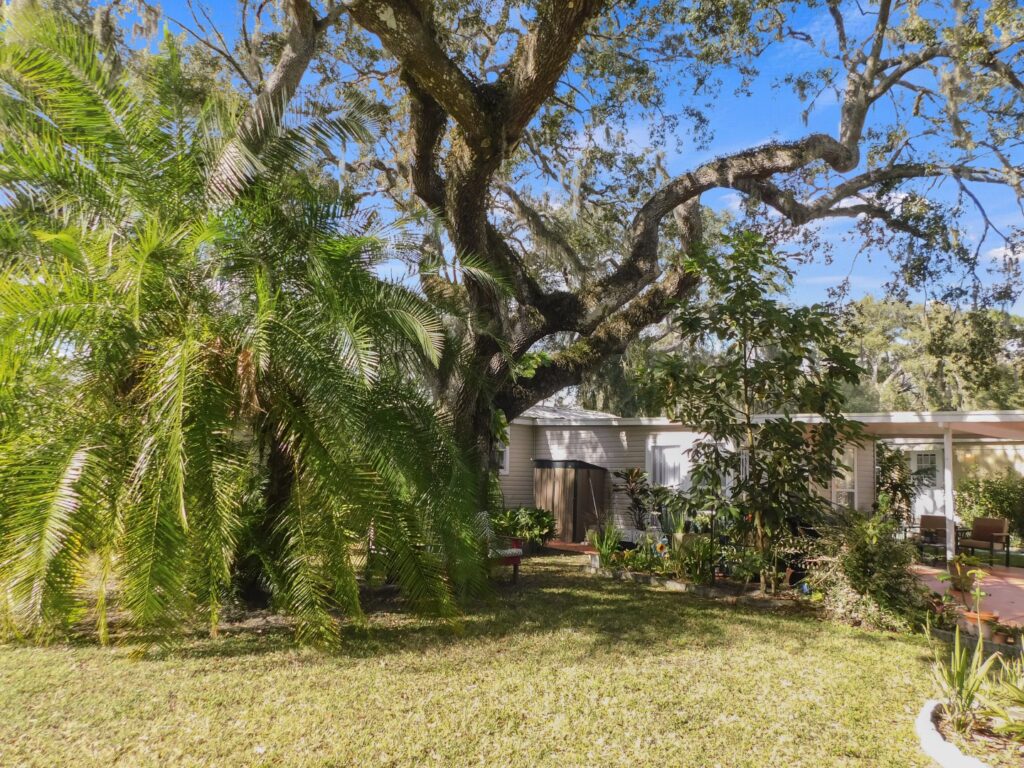 3823 Oakcrest Lane, Zephyrhills, FL 33541 (45)