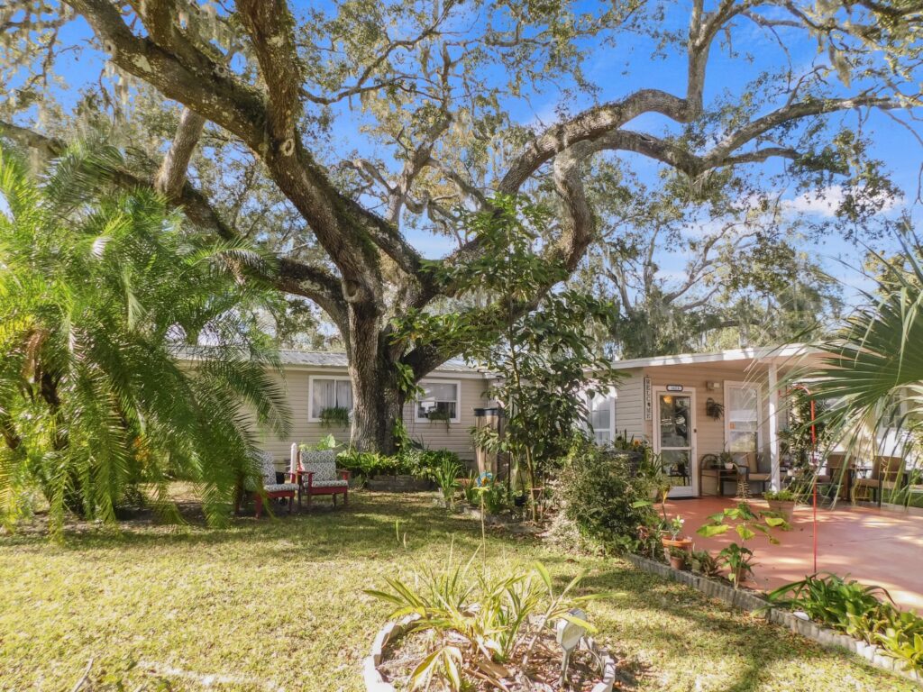 3823 Oakcrest Lane, Zephyrhills, FL 33541 (46)