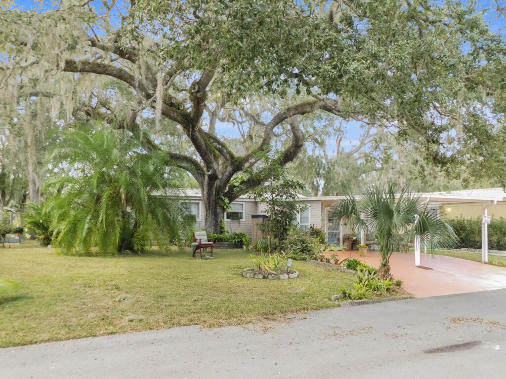 3823 Oakcrest Lane, Zephyrhills, FL 33541 (47)
