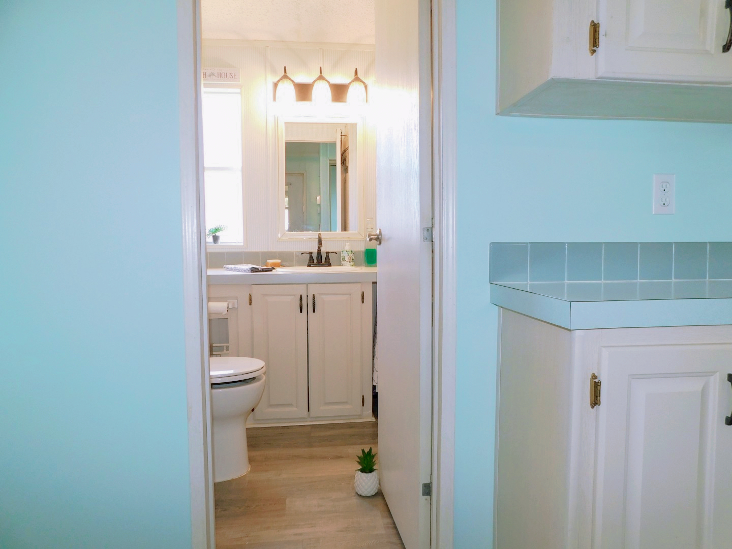 41219 Hockey Drive Lot 85, Zephyrhills, FL 33540 (22)