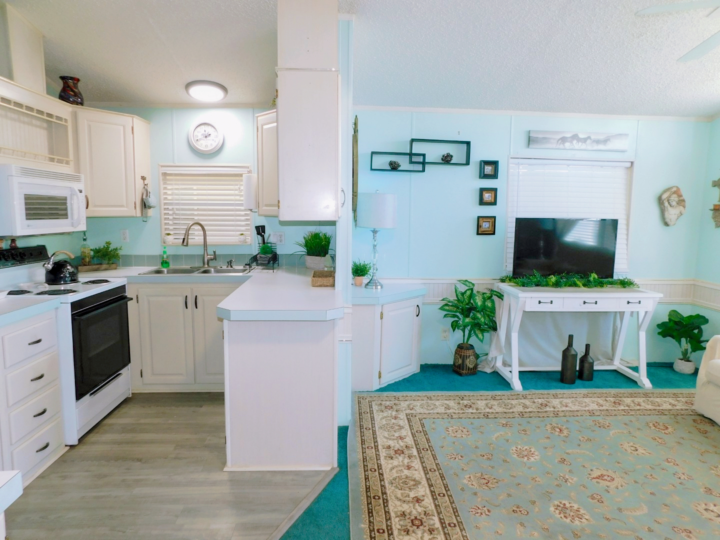 41219 Hockey Drive Lot 85, Zephyrhills, FL 33540 (4)