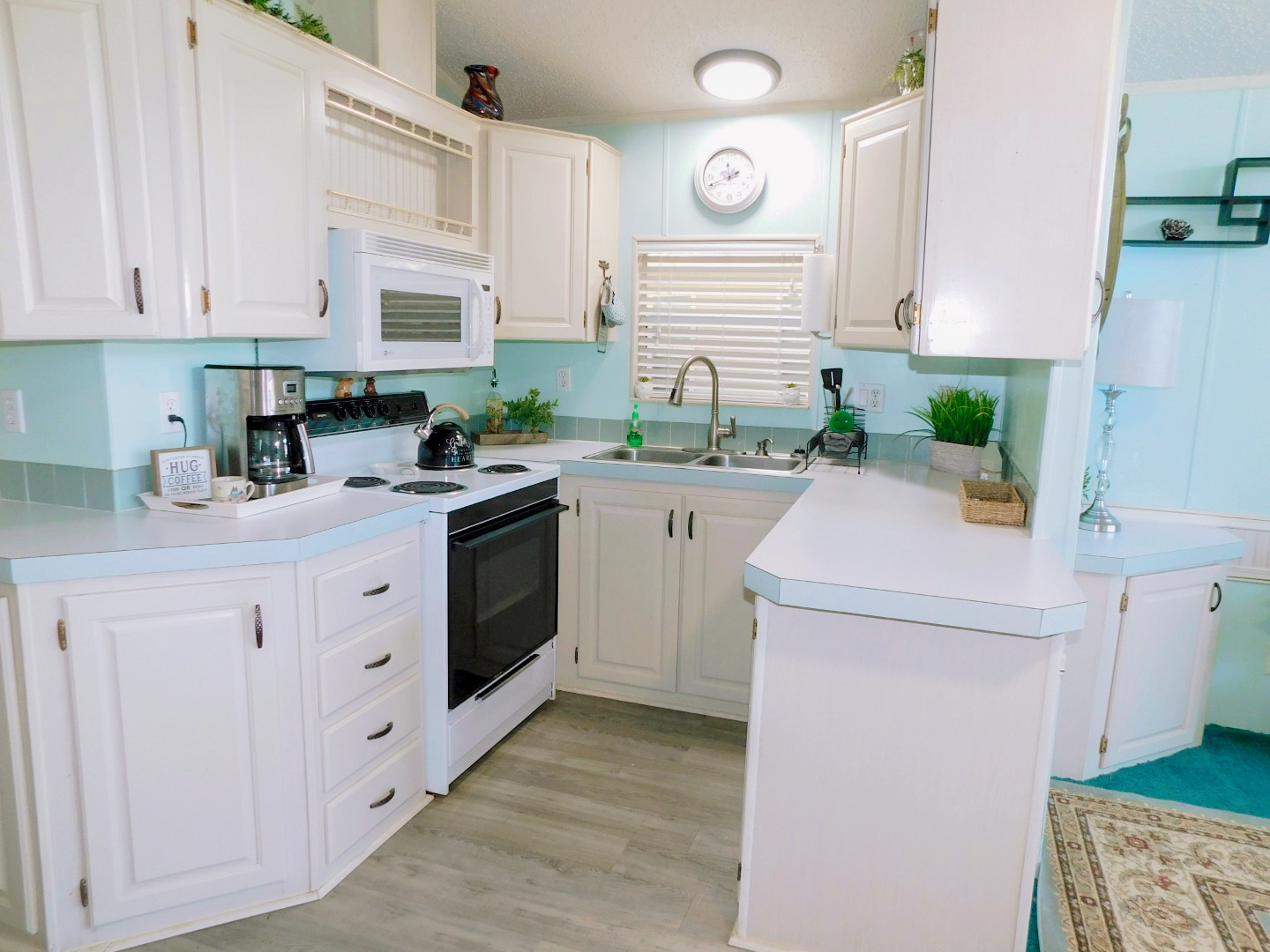 41219 Hockey Drive Lot 85, Zephyrhills, FL 33540 (6)