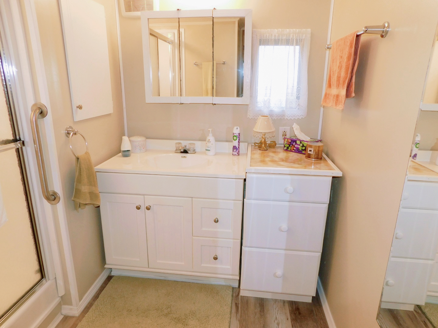 5535 Bethany, Zephyrhills, FL 33542 (28)