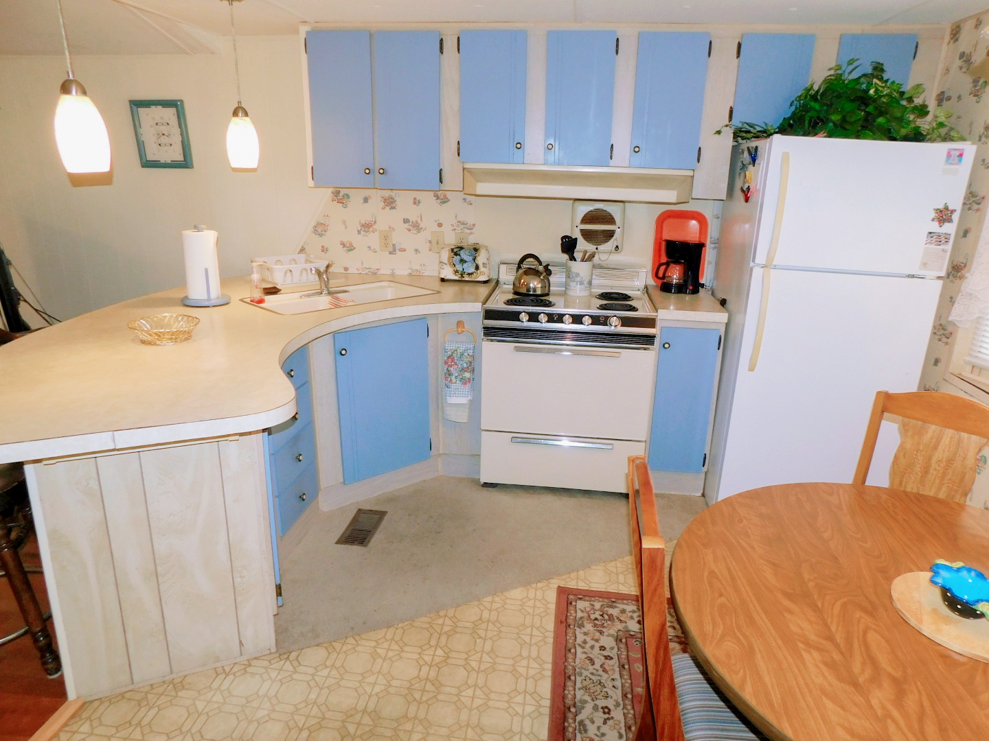 5535 Bethany, Zephyrhills, FL 33542 (5)