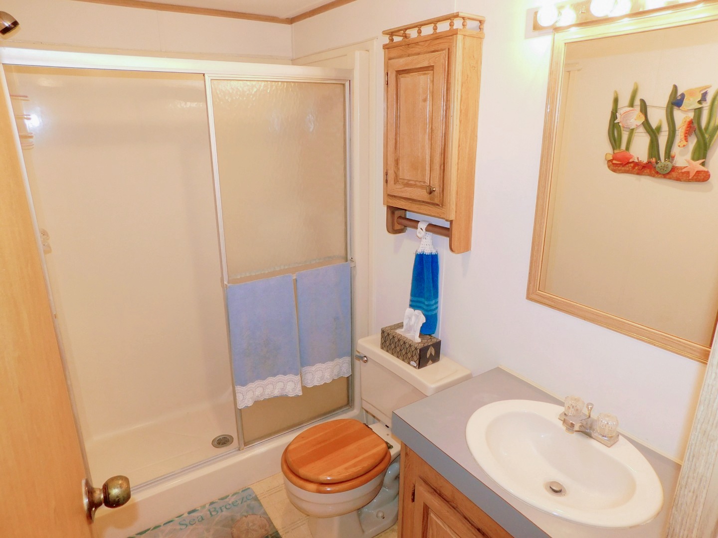 5751 Windtree Drive, Zephyrhills, FL 33541 (18)