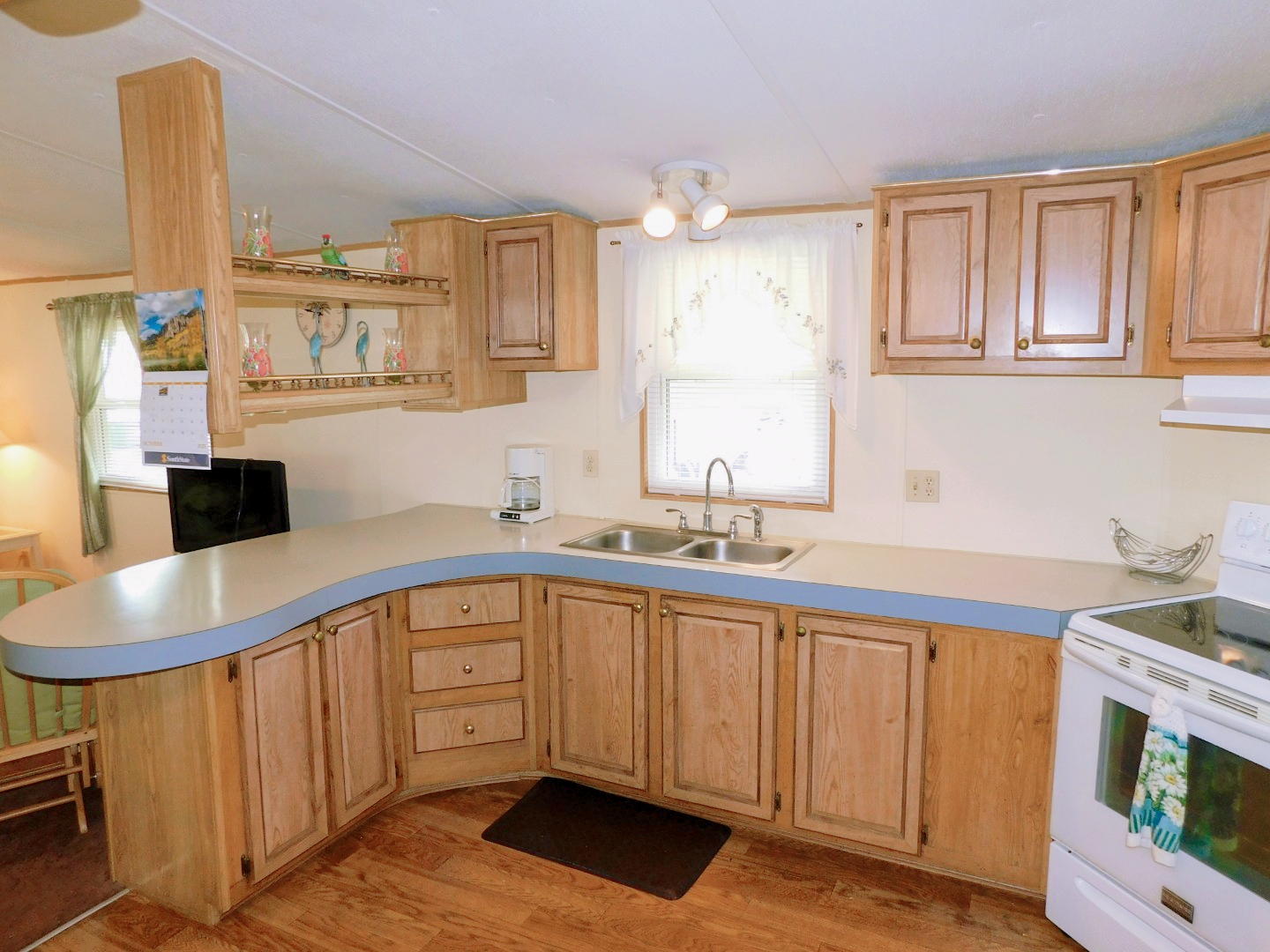 5751 Windtree Drive, Zephyrhills, FL 33541 (5)