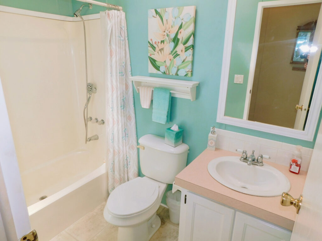 5919 Jessup Drive, Zephyrhills, FL 33540 (45)