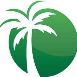 Palm-Tree-Circle